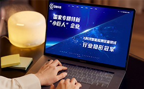 無(wú)錫網(wǎng)站建設(shè)企業(yè)