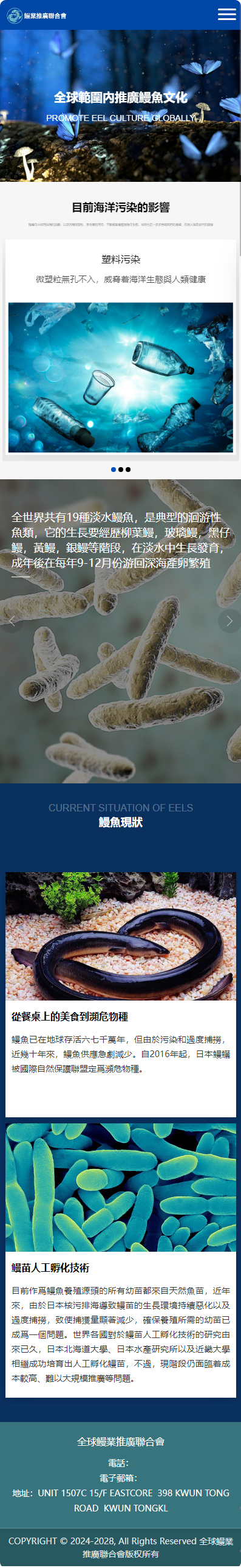 全球鰻業(yè)推廣聯(lián)合會香港企業(yè)官網(wǎng)開發(fā)建設(shè)制作案例 手機端預覽圖