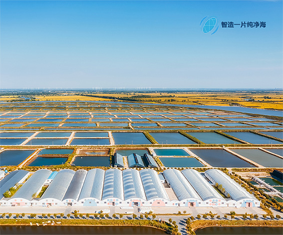 廣東橫琴粵澳深度合作區(qū)兆海智慧云科技有限公司集約養(yǎng)殖品牌網(wǎng)站制作建設(shè)案例